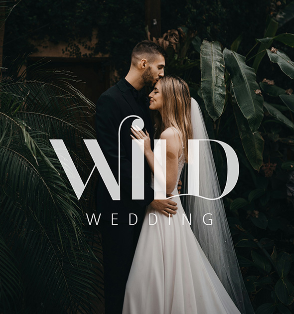 mellou Branding design Hochzeitsfotograf Logo gestalten